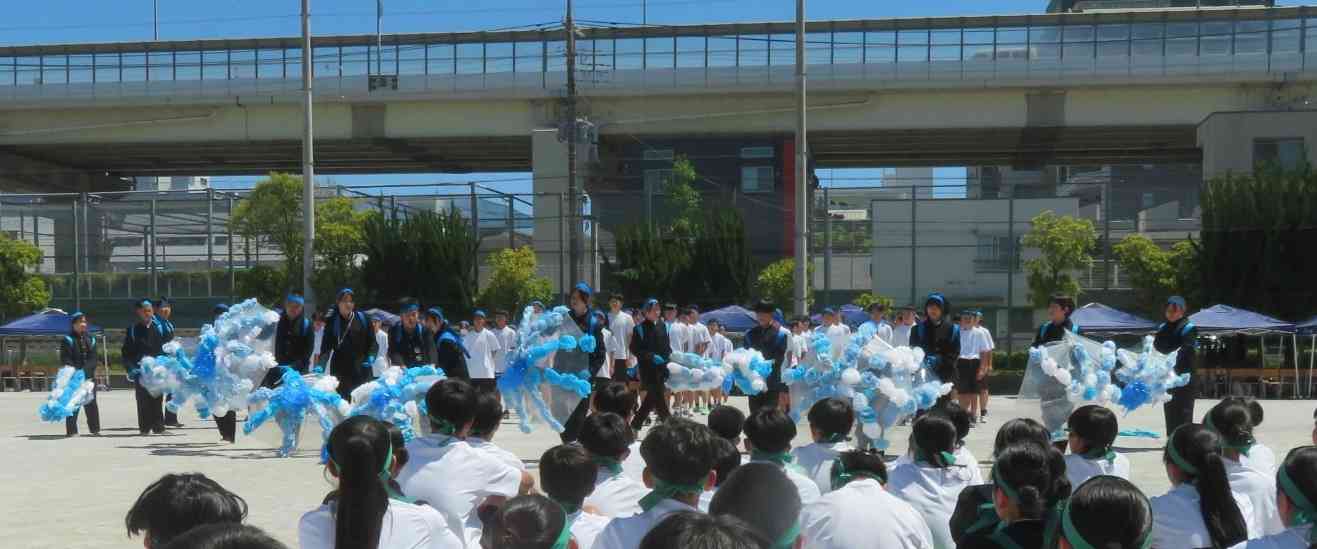 61IMG_7111[1]