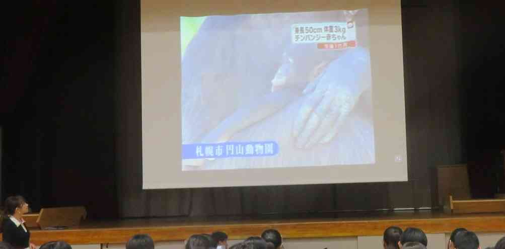 5IMG_3074[1]
